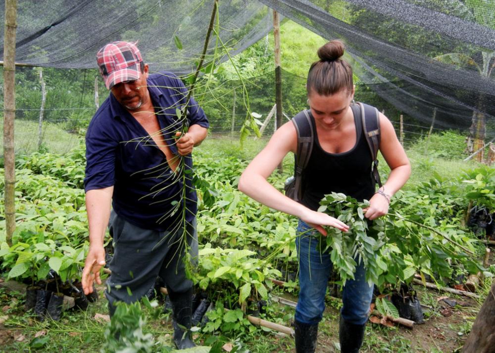 Volunteer and counterpart working in the fields